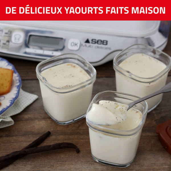 Couvercle Gris argent pour yaourt Multidélices SEB, à partir de 1€50